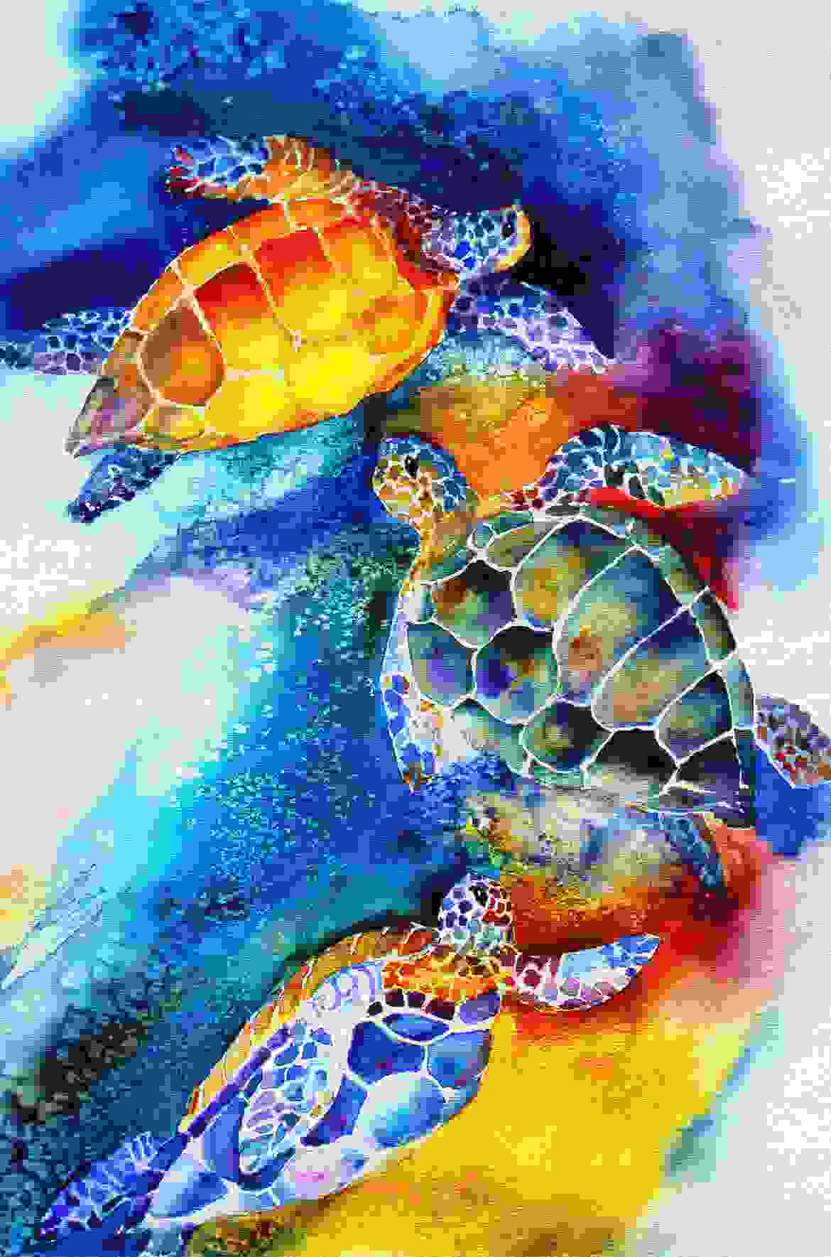 Sea Turtles on the shore